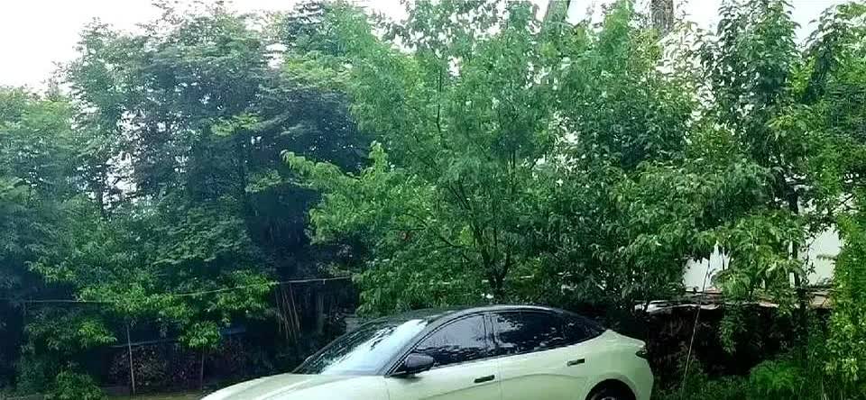 电车车主现在怕是连油门都不敢踩了。去年花二十万提的极氪001，首保没做就