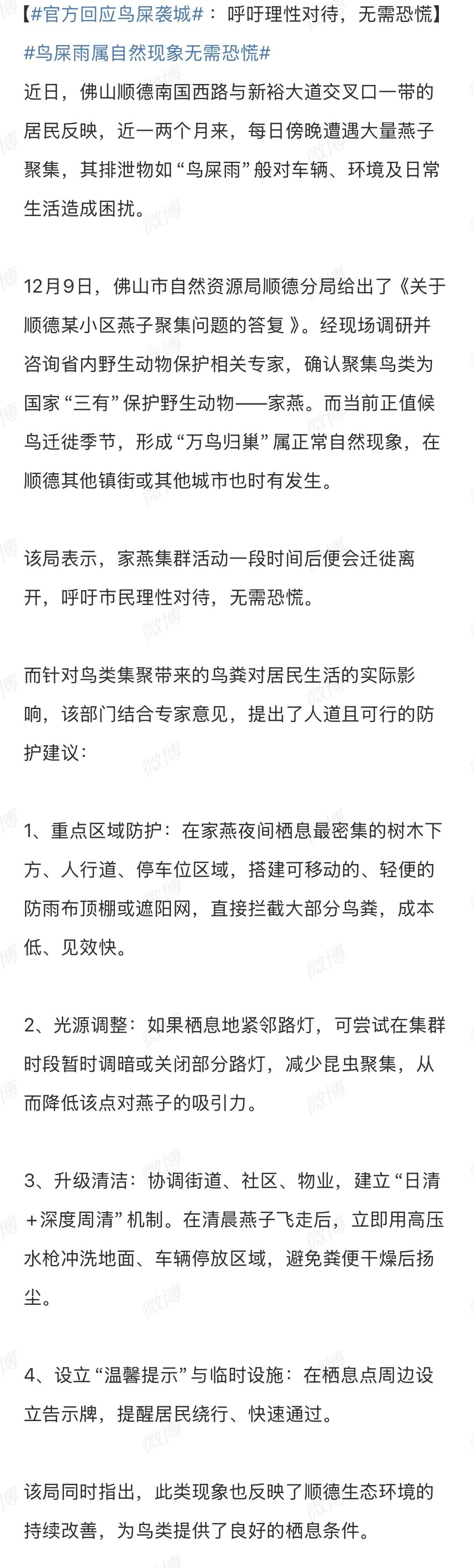 佛山鸟屎袭城佛山不会下雪但是会有“天使”这谁受得了