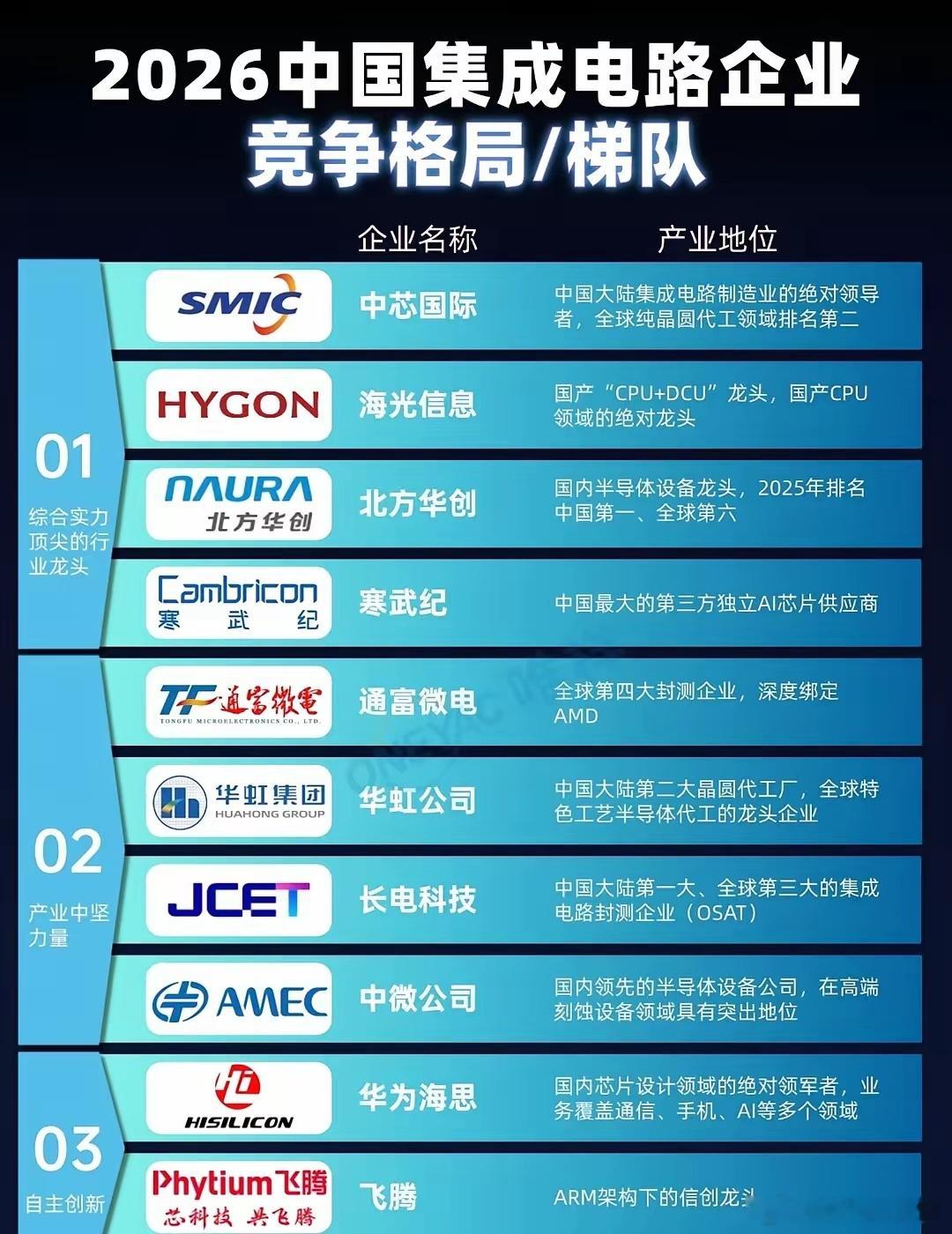 2026中国集成电路企业格局中国集成电路产业已形成层次分明的竞争梯队体系。主要分