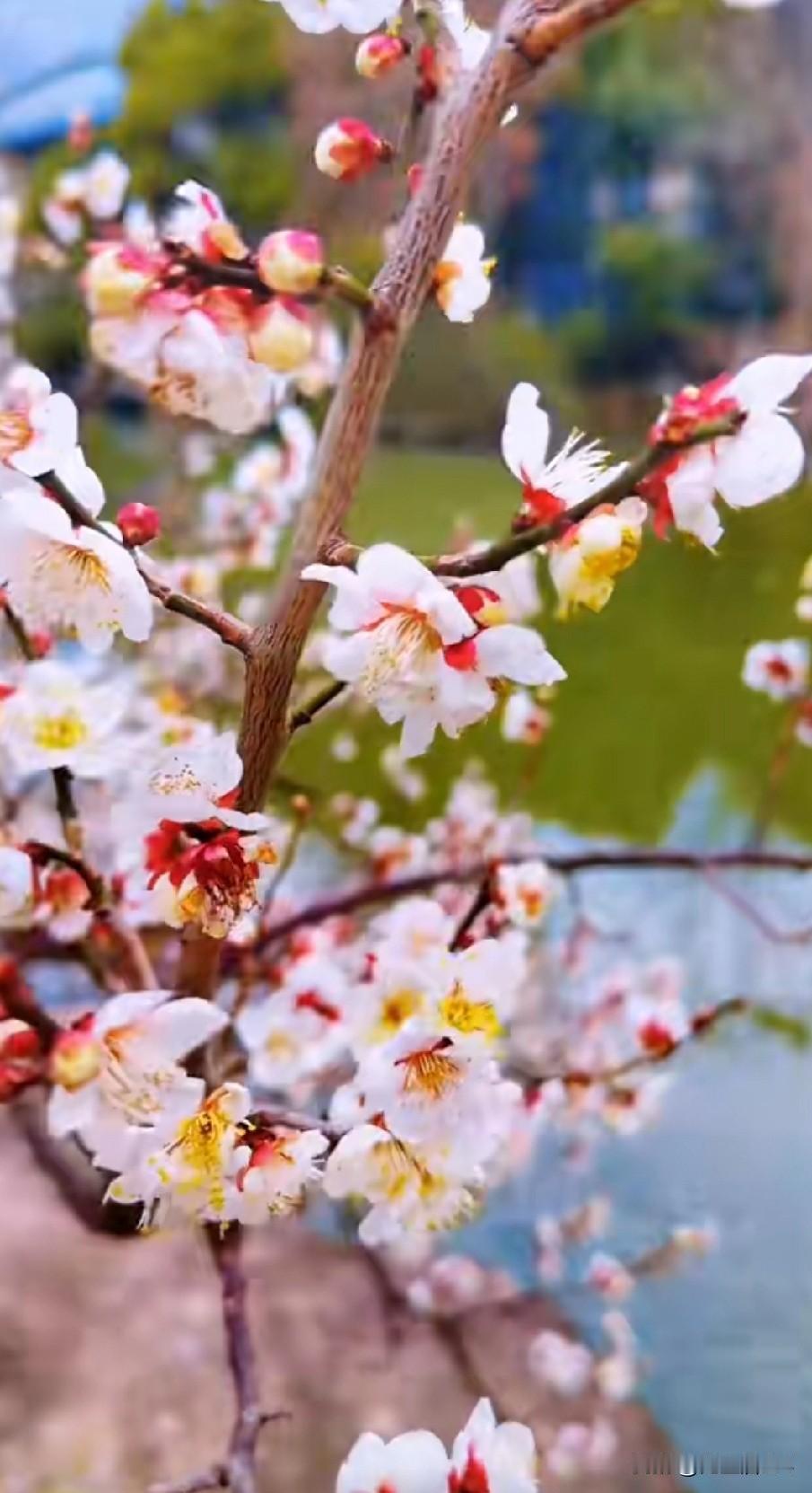 都胃癌了，居然说没病？孩子回家来过年了，接他时候，问他我的气色怎