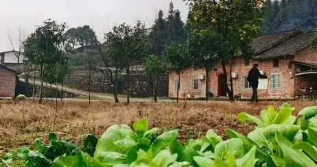 农村养老破局新思路：互助模式激活‘被需要’尊严