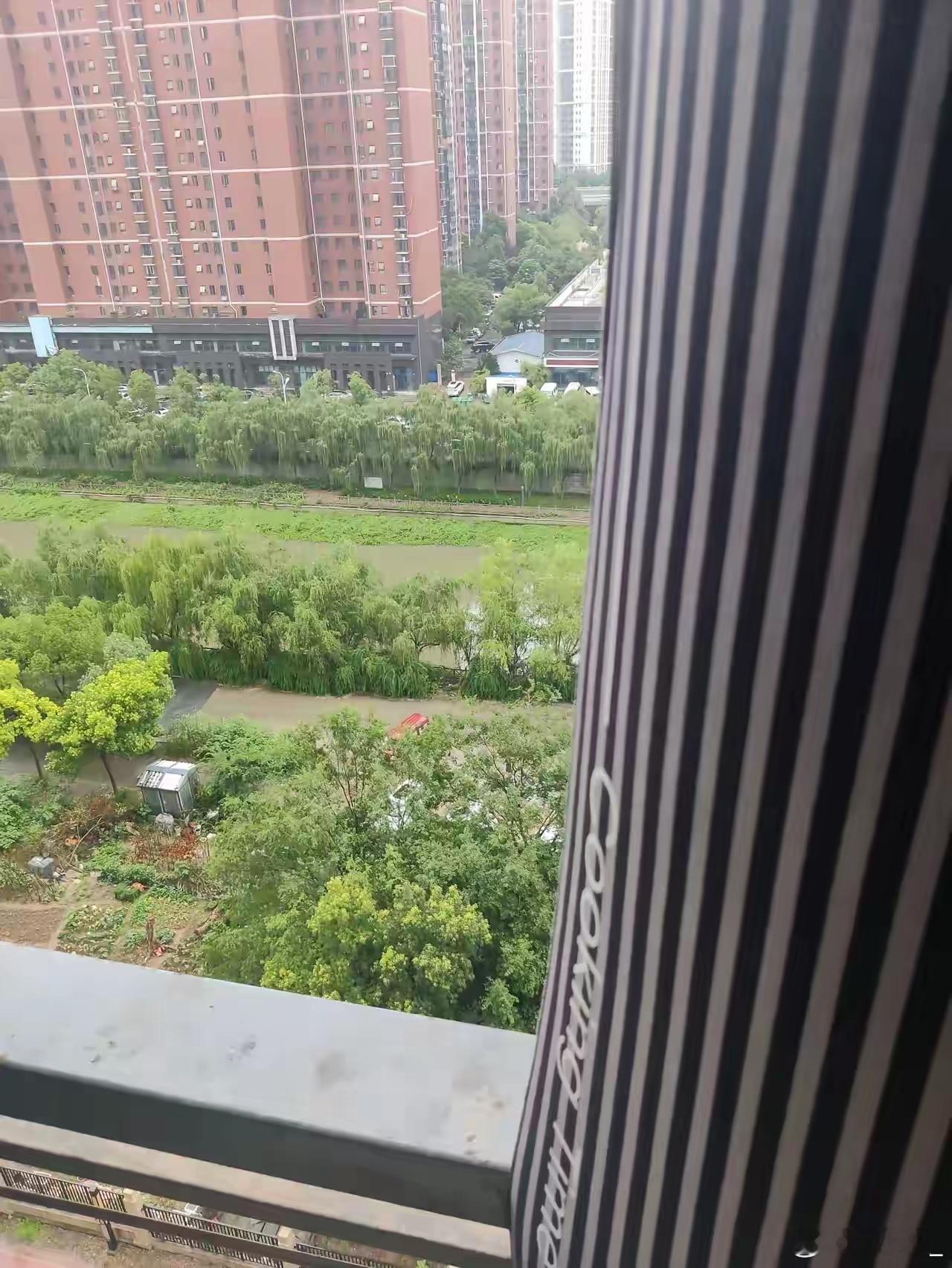 最近看了一段采访李连杰的视频。看了一半，简直头皮发麻！实在看不下去，果断关闭。