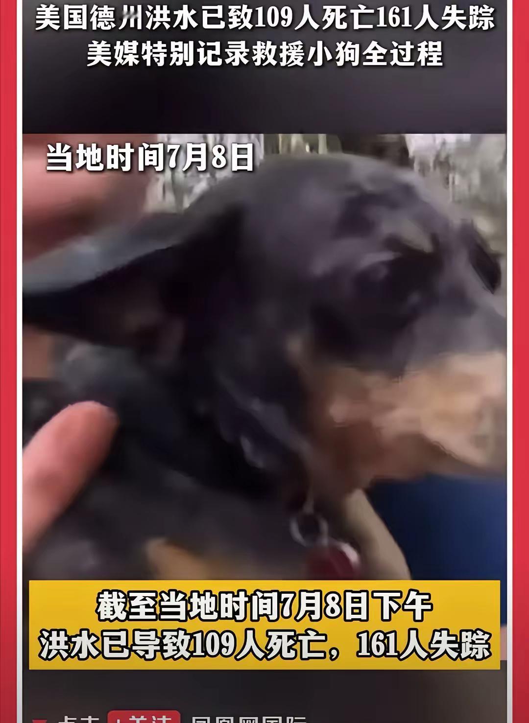 果然网友没有猜错，得州洪水救出一条狗。中国人在作秀方面真的差太远了，人家美国消防
