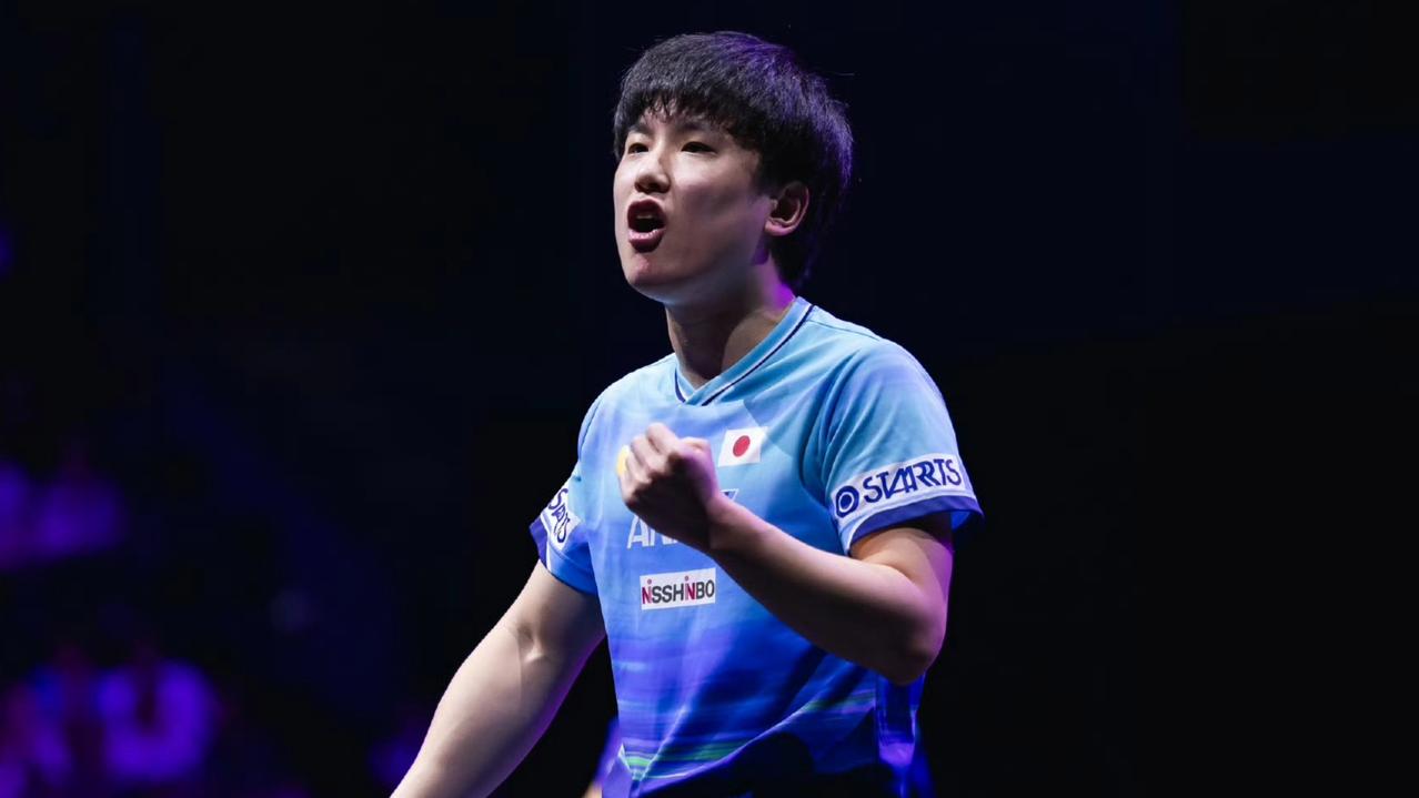WTT男单四强全部确定！日本独占三席成最大赢家，张本智和4-0横扫！半决赛对