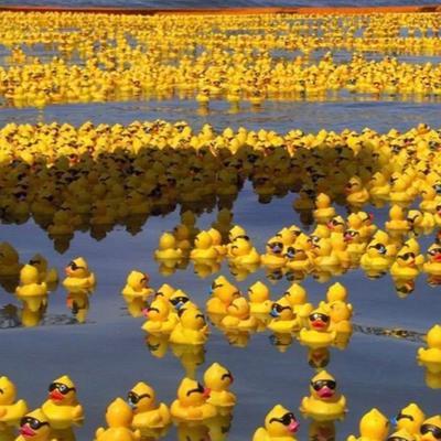 1992年，我国一艘货轮上28000多只小黄鸭因意外掉入太平洋，没想到这些小黄鸭