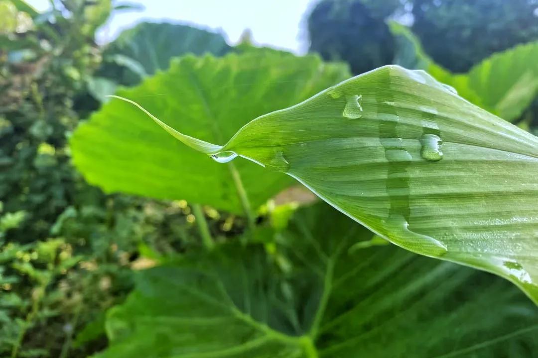 人生没有捷径，唯有脚踏实地、努力向上。遇到困难，别轻易放弃，成功也许只有一步之遥