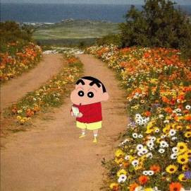 ✎﹏𝚗𝚘𝚠⸝⸝⸝⸝ᵁᴾ⁺‘’不能预知明天但可以把握今天‘’​​​