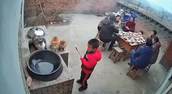 这个童年一定很难忘[捂脸哭]童年童年老家的样子