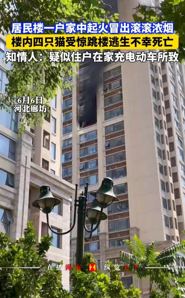 “悲剧还是发生了！”6月6日，河北廊坊，一处高层居民楼突然发生火灾，房主因为撤离