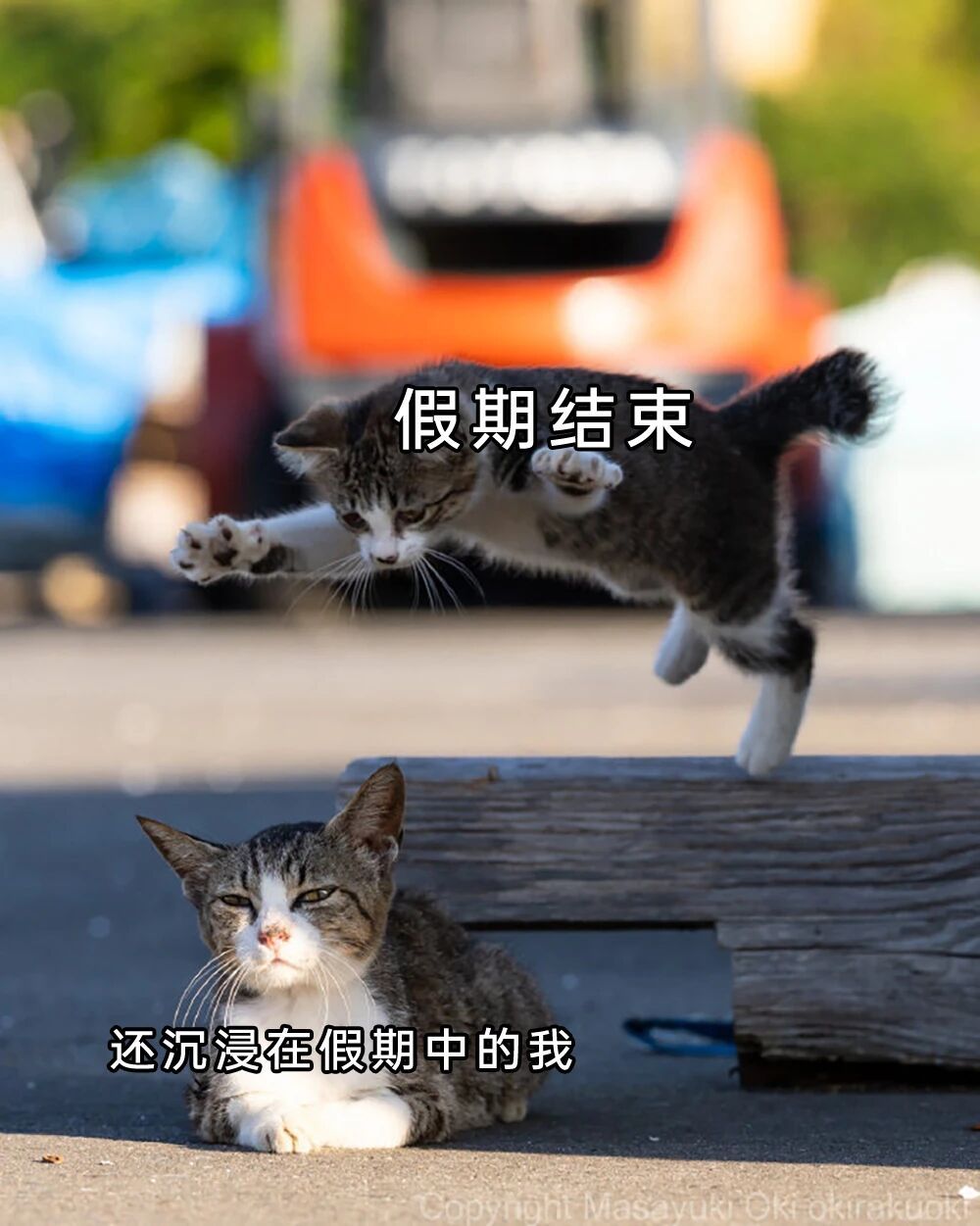 师傅我是做什么工作的