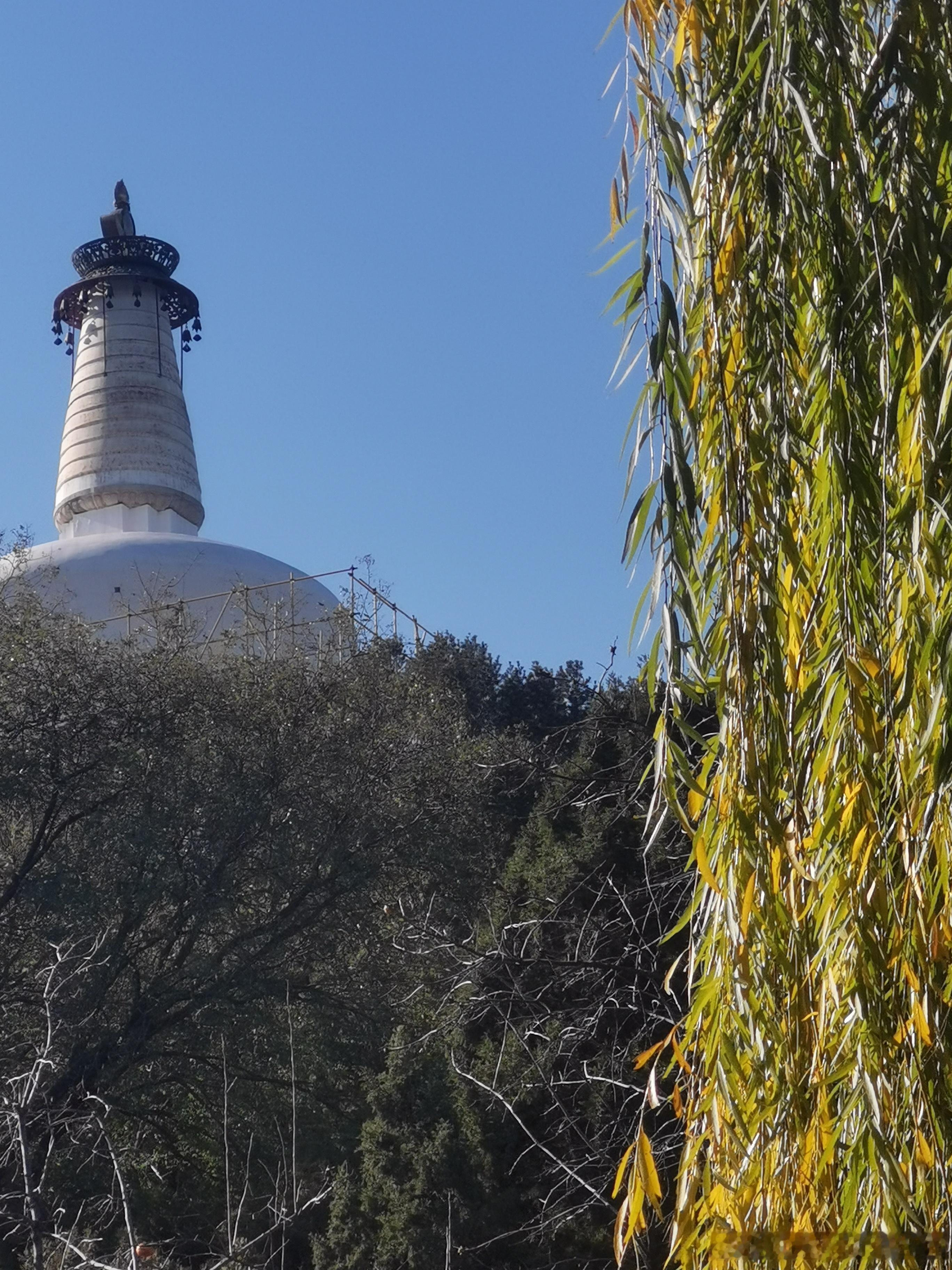  初冬的北海公园  北京你好摄影