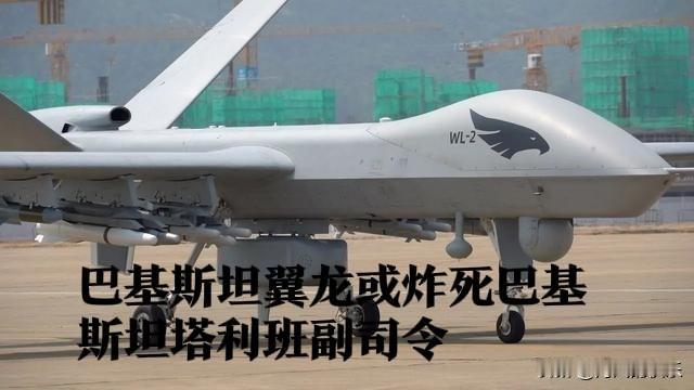 巴铁重创塔利班高层：翼龙无人机炸死副司令，谈判破裂后迎大捷据外媒报道
