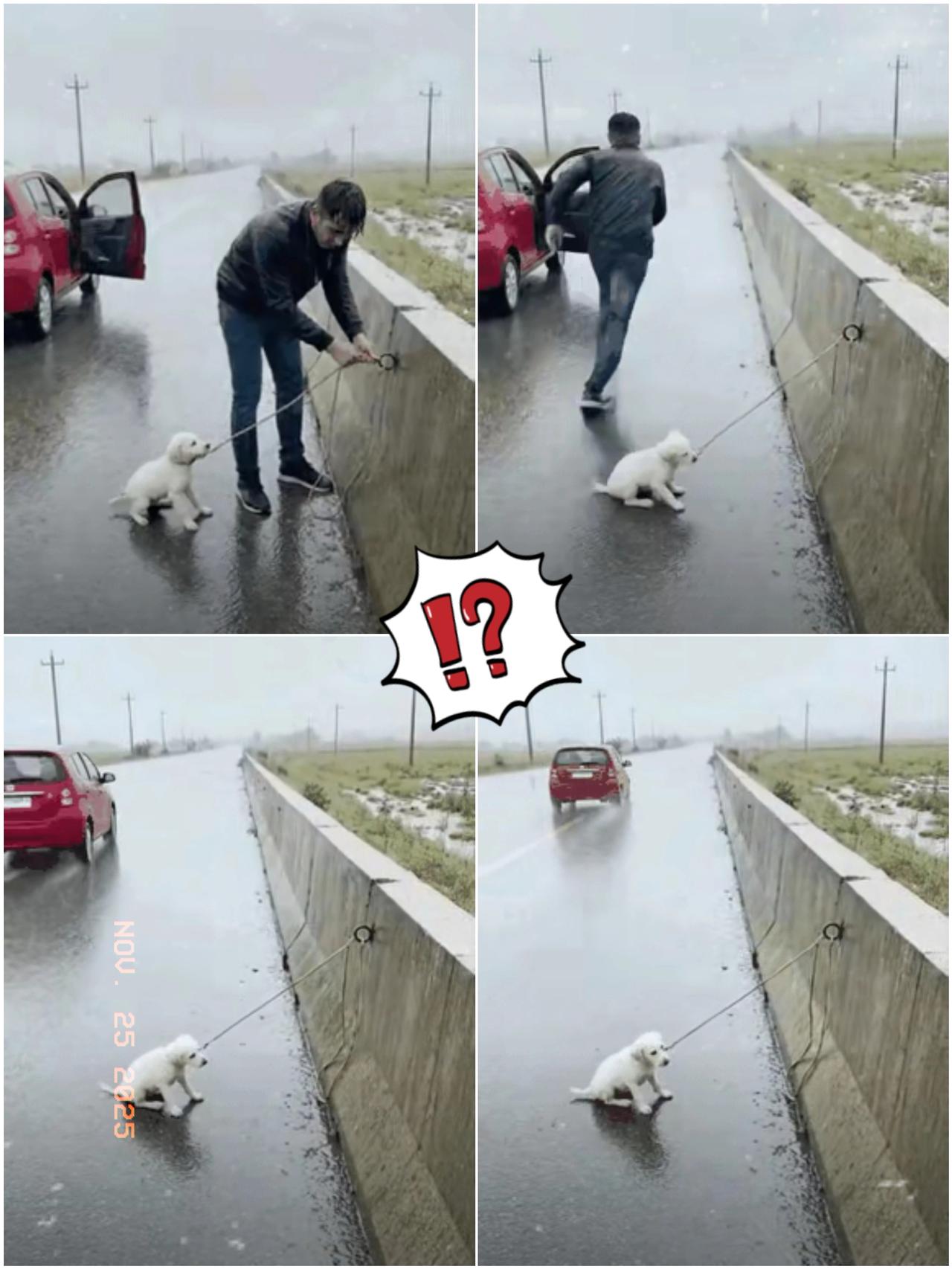 天下着雨，男子拉着一条狗狗正把它拴在路边。接着上车就快速开走，狗狗“汪汪”叫着，