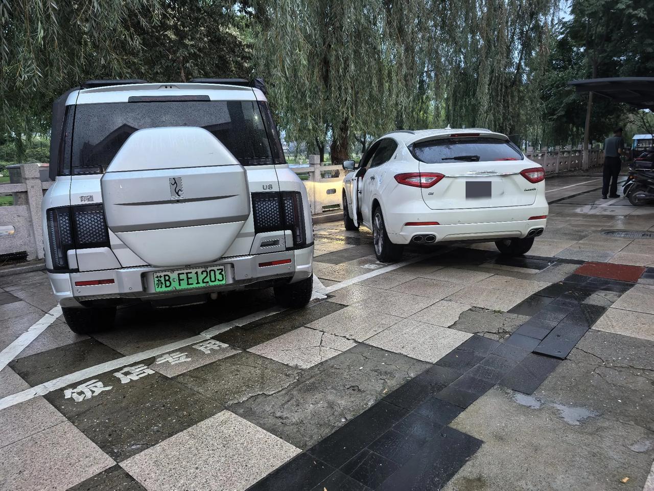 看到我把腾势N9开到新疆西藏，今天朋友把他的玛莎拉蒂换也成腾势N9了，已经想好了