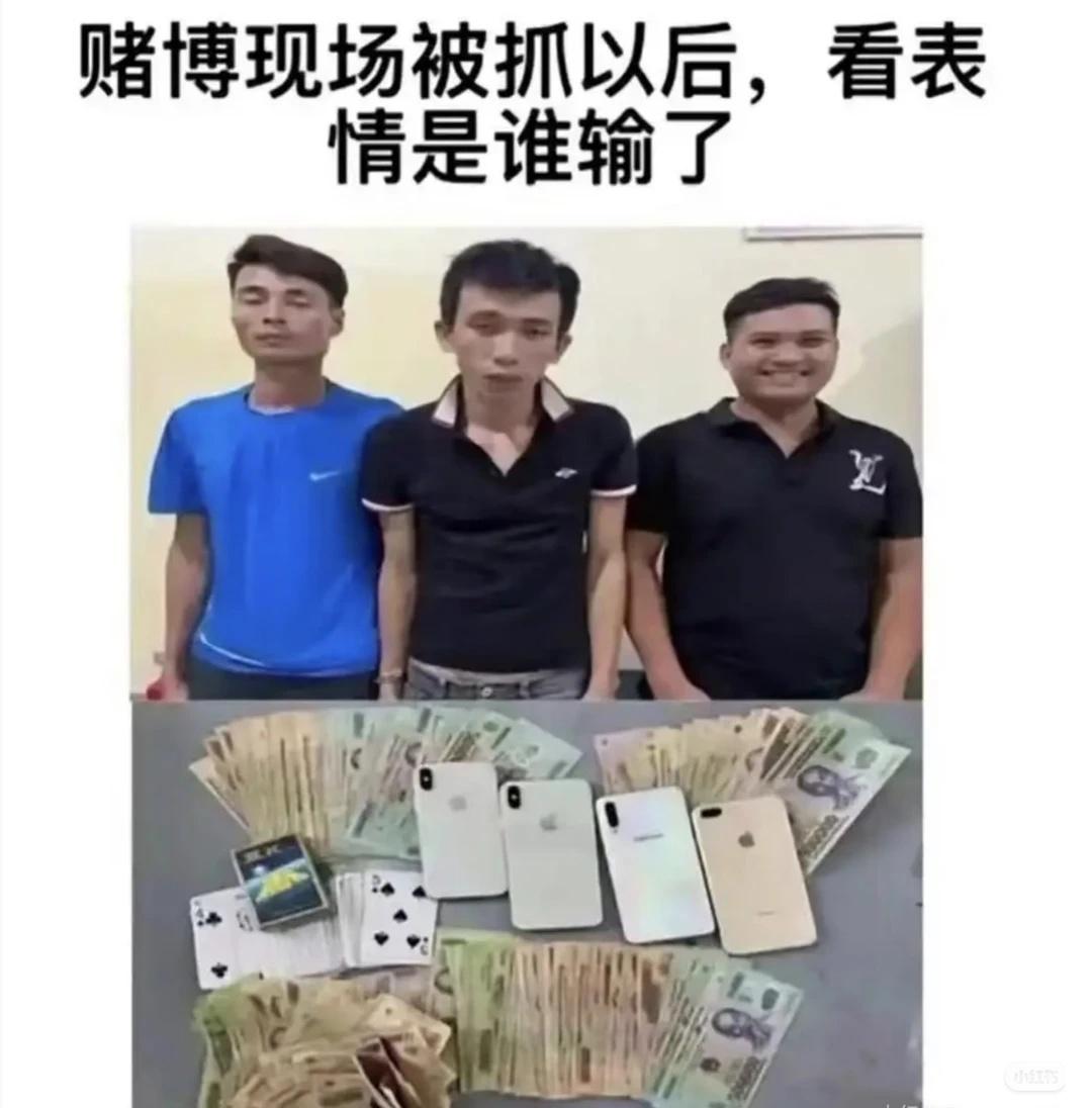 不笑算我输，幽默图片大赏就是玩就是嗨我被翻译成了此图有梗梗图人间真实