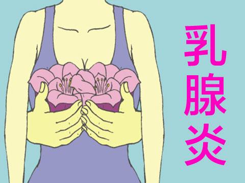 中医食疗强身健体, 专家推荐这几款药膳帮助女性解决乳腺炎的困扰
