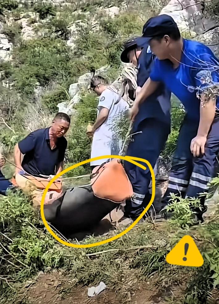 网传现场一幕让人深思：终于明白，为什么体重90斤的姑娘，几名壮汉尝试之后却难以抬