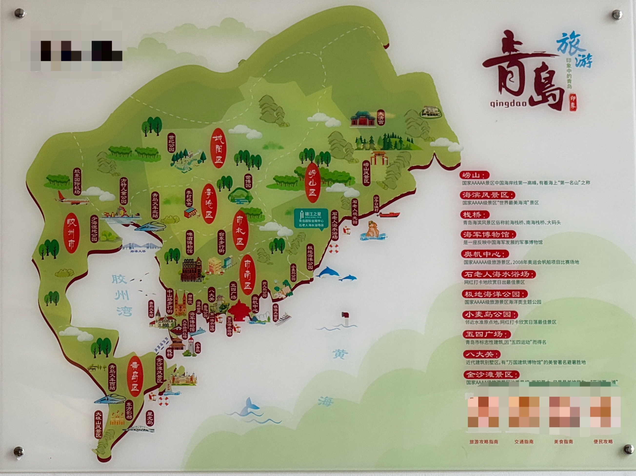 青岛的版图很像一头鲸鱼🐳