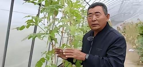 1998年一位没上过大学，连高中都没毕业的黑龙江农民，拒绝300万美元的挖角，攻