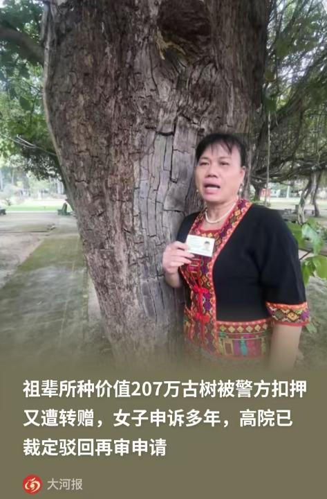 海南女子家中祖父栽种的百年重阳树估值207万，深夜遭人连根偷走。警方追回古树