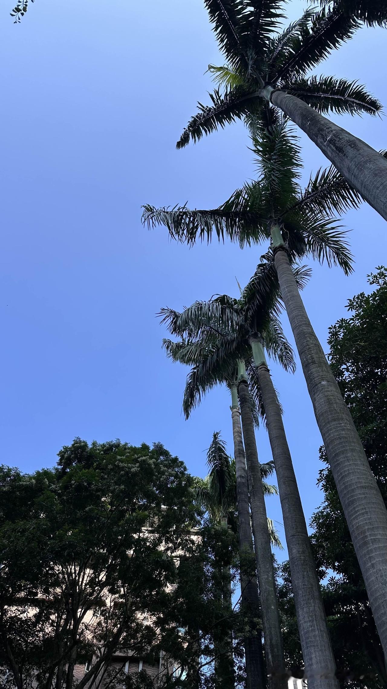 结束苏州旅居生活，回到台北第九天，写了不少这趟回台定居的日常我见我思。有些人看我