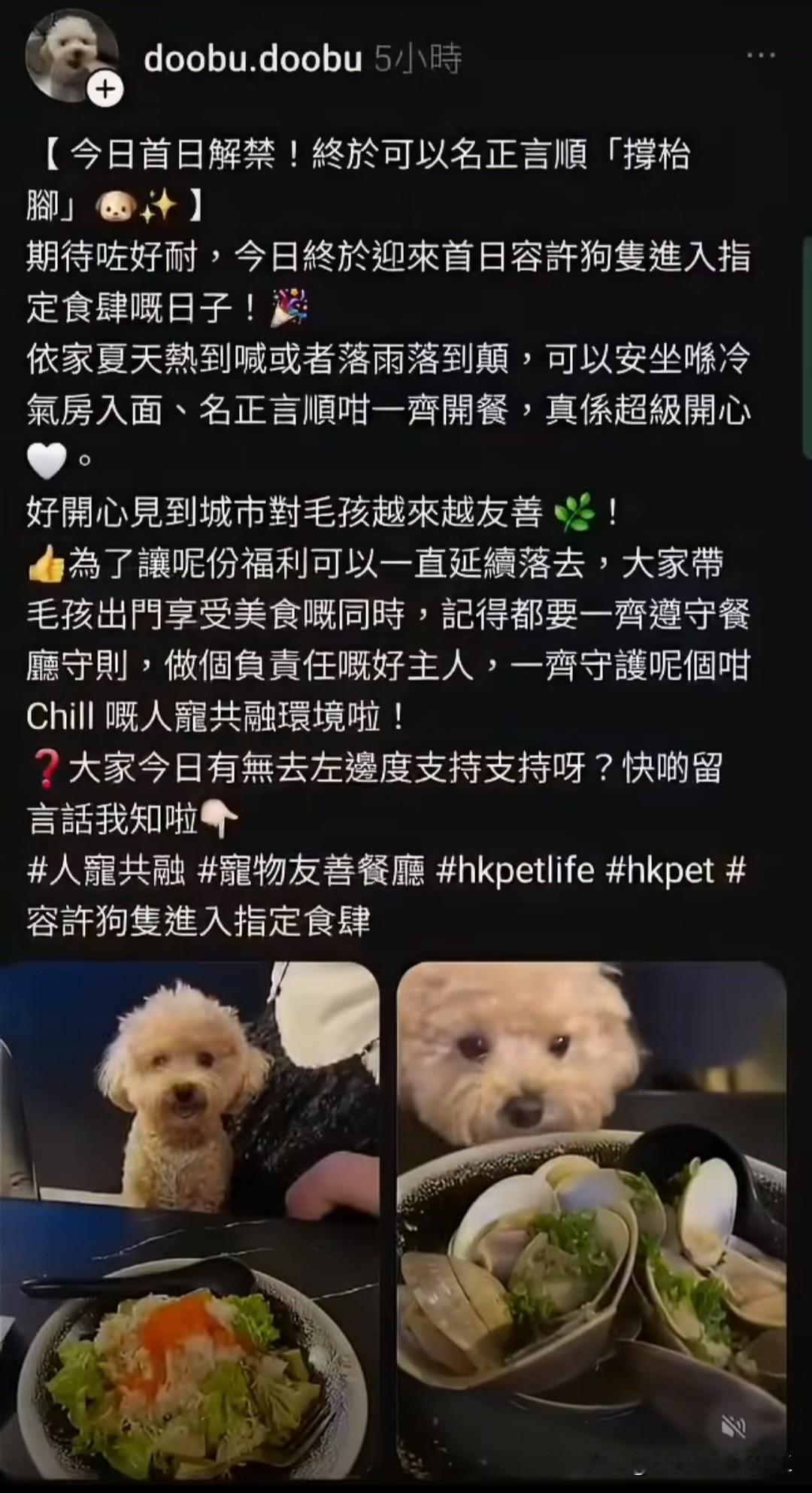 自从香港政府实行宠物友善餐厅后，昨日，一些狗主把狗带进餐厅，让它们在碟子共用吃饭