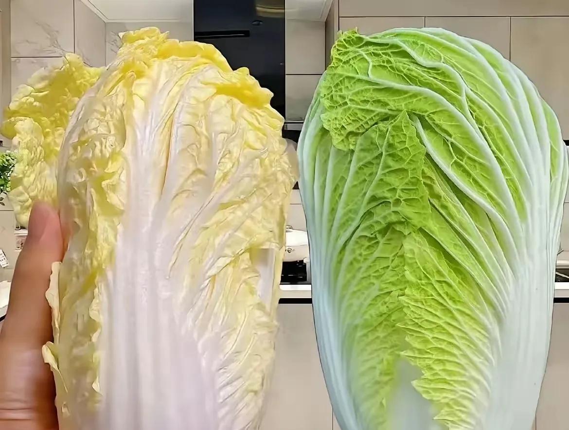昨天和老公逛菜市场，硬是因为买白菜结下了“梁子”！我一眼相中左边那颗黄澄澄的白菜