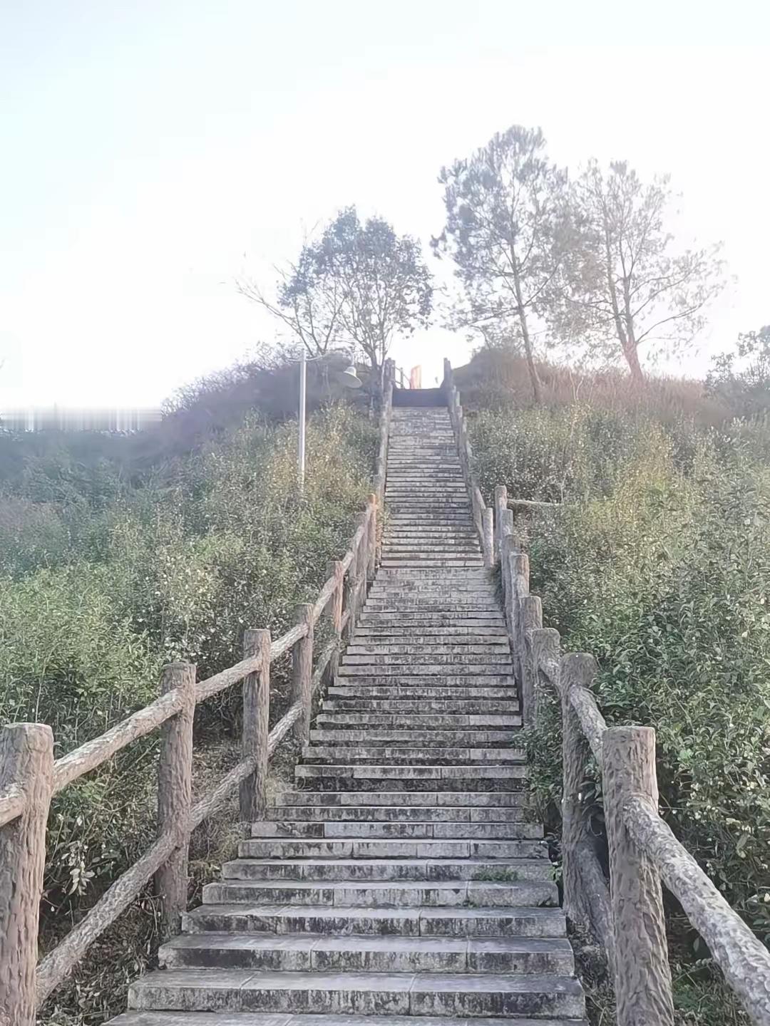 同事老婆，脑瘤，走了。才49岁。最让我憋屈的是，她不是没机会。4月份查出来