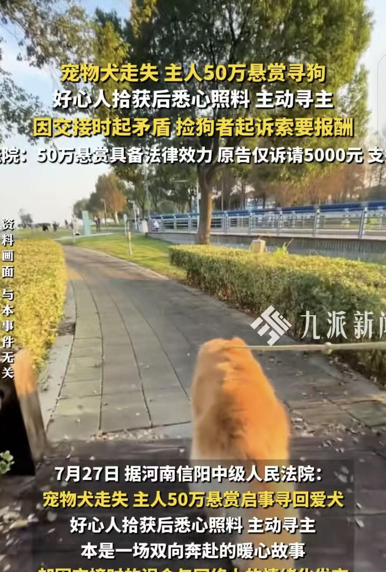 “50万酬谢变500元！”河南信阳，一男子养的大金毛丢失，同一天，被另一男子捡到