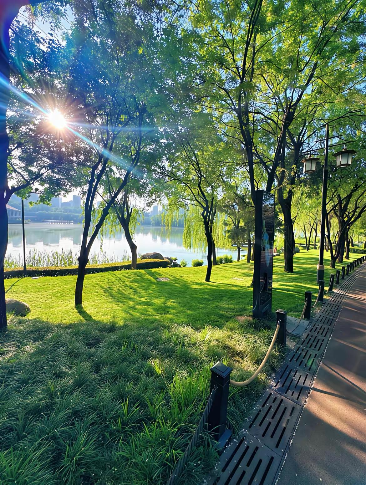 做饭的乐趣，从不是烟火缭绕，而是把平凡日子，煮成温柔。择一把青菜，洗去