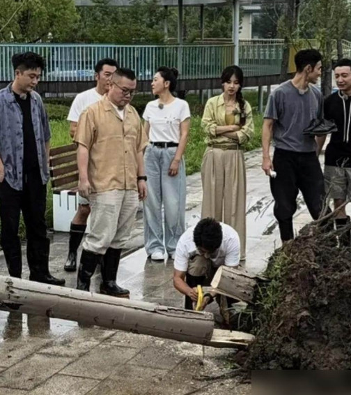 央视主持团下乡干活，撒贝宁抡电锯，其他明星站旁边聊天？近日有网友在绍兴偶遇撒贝