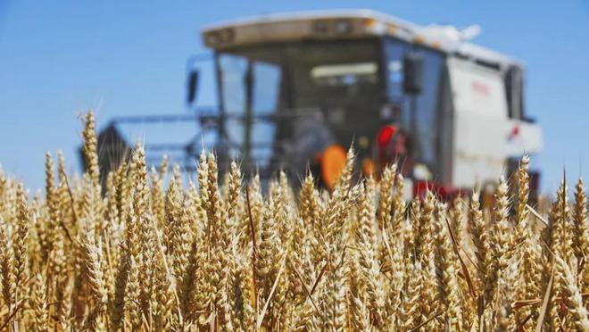 特朗普彻底呆住了！2025年12月18日，美国刚刚批准对台高达110亿的军售，中