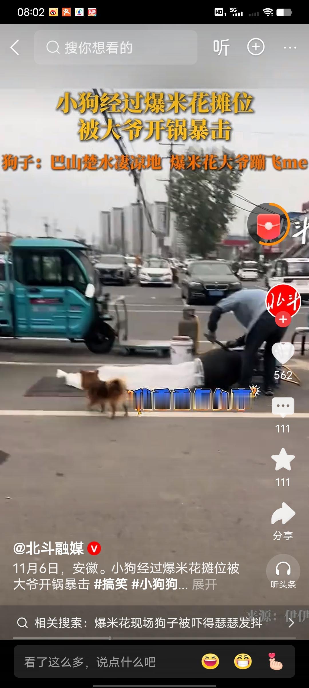 刷到这个超搞笑的视频，一只小狗路过爆米花摊位，结果被大爷“开锅爆击”。那一瞬间，