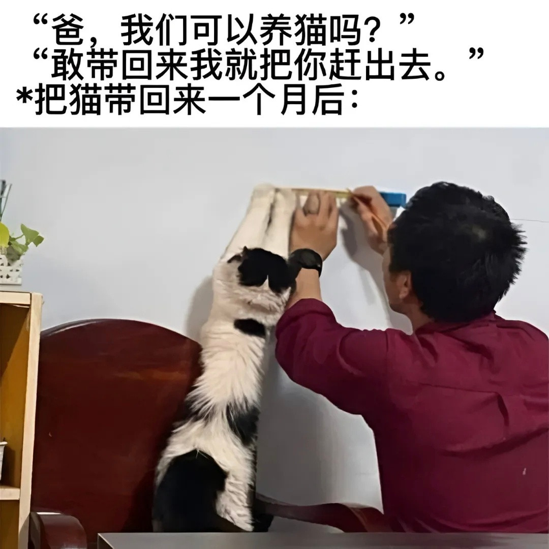 没毛病，说的是把你赶出去猫meme​​​