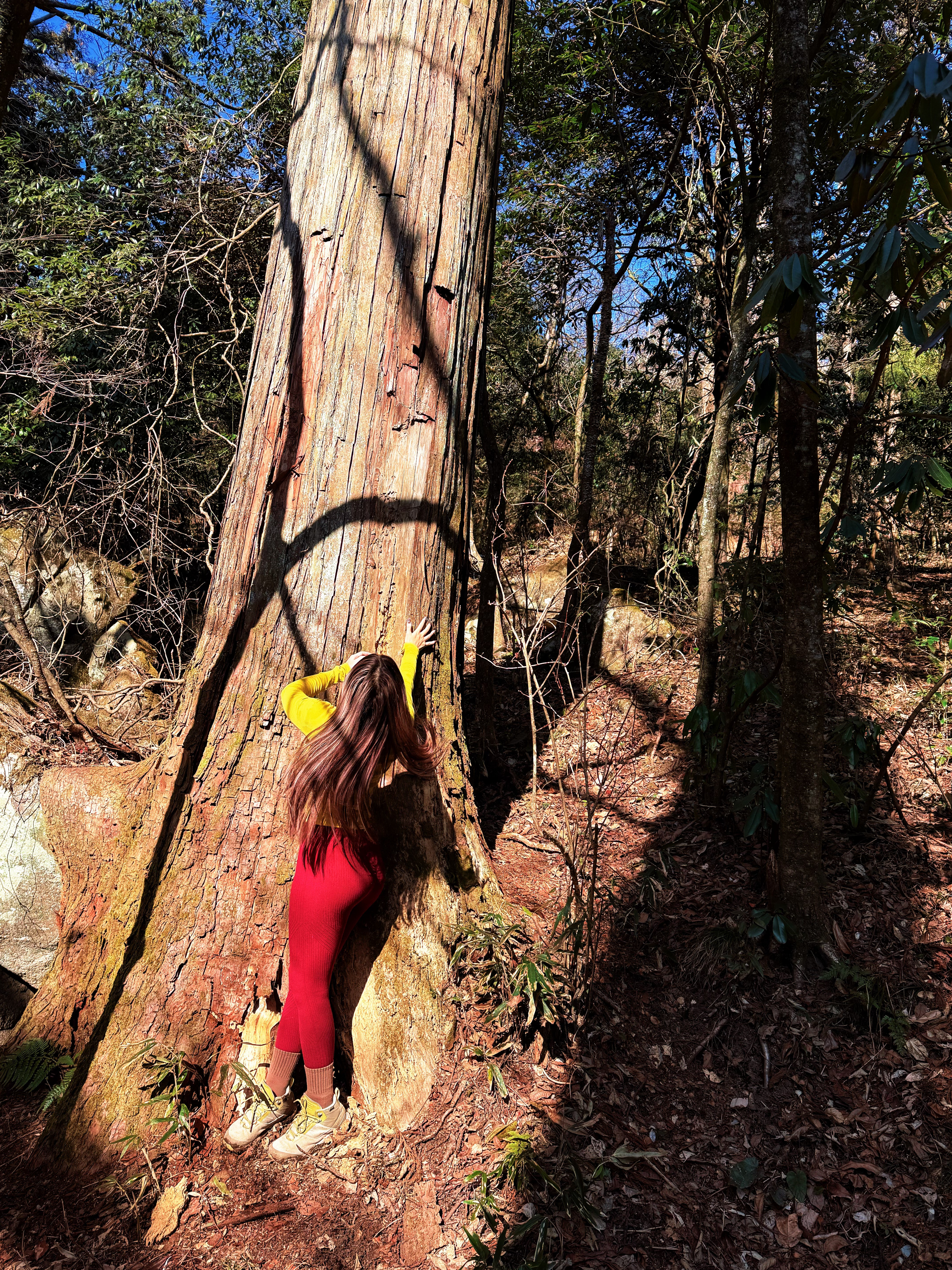 最近状态差的怀疑人生杭州