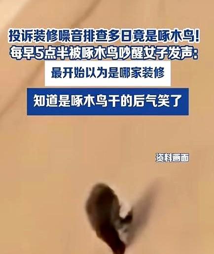 沈阳。凌晨5点半，天边刚泛白。“咣！咣！咣！”一声声重击，直接把李女士从睡梦