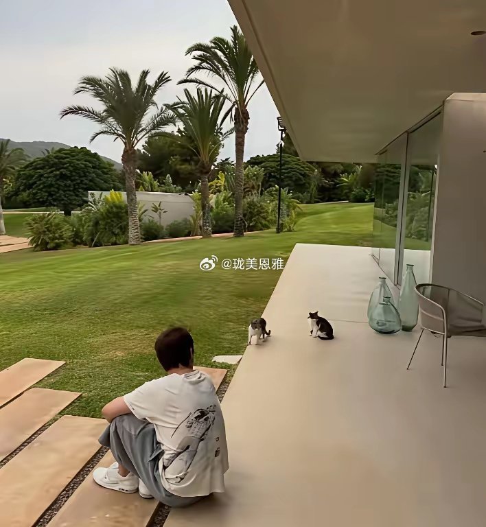 王思聪又跑到西班牙的海边度假了租了一个豪宅，一天2万美金合人民币15万左右据悉是