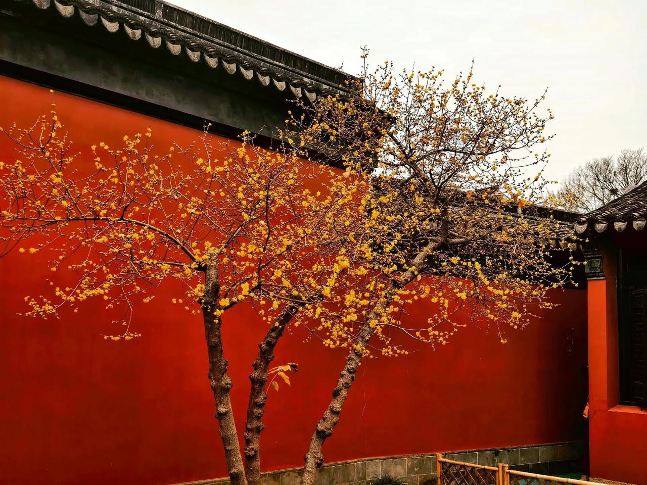 一个高三的学生家长已经联系我第2次了，每次都表现的很着急的样子，觉得小孩子的数学