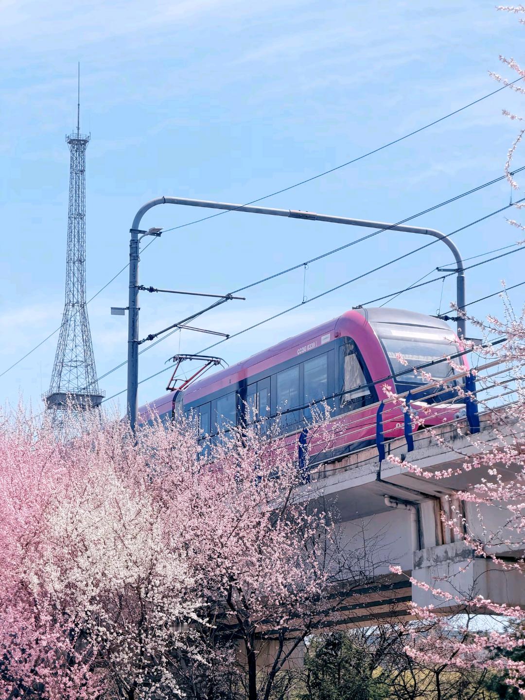 长春这个季节是真的美，有点像动漫里的场景，可惜太忙了回不去家里看长春