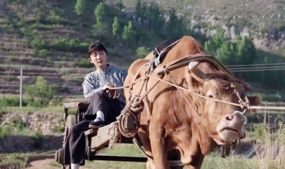 想看宁绣绣赶小独角🐮