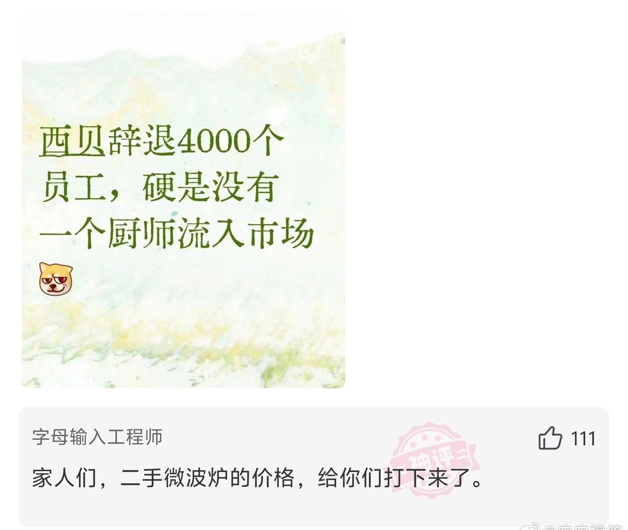 因为厨师都是微波炉？生活笑料撞满怀我的幽默灵感片场春风里派对做最有天赋却最讨厌