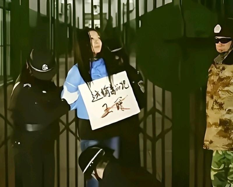 “1990年，死囚王暖即将面对终极审判。执法人员解下她的脚铐，将法绳绑在她的裤腿