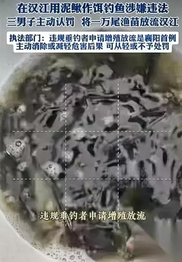用泥鳅钓鱼被抓罚放1万尾鱼苗反而引来一堆人喊罚轻了？这是湖北襄阳前两