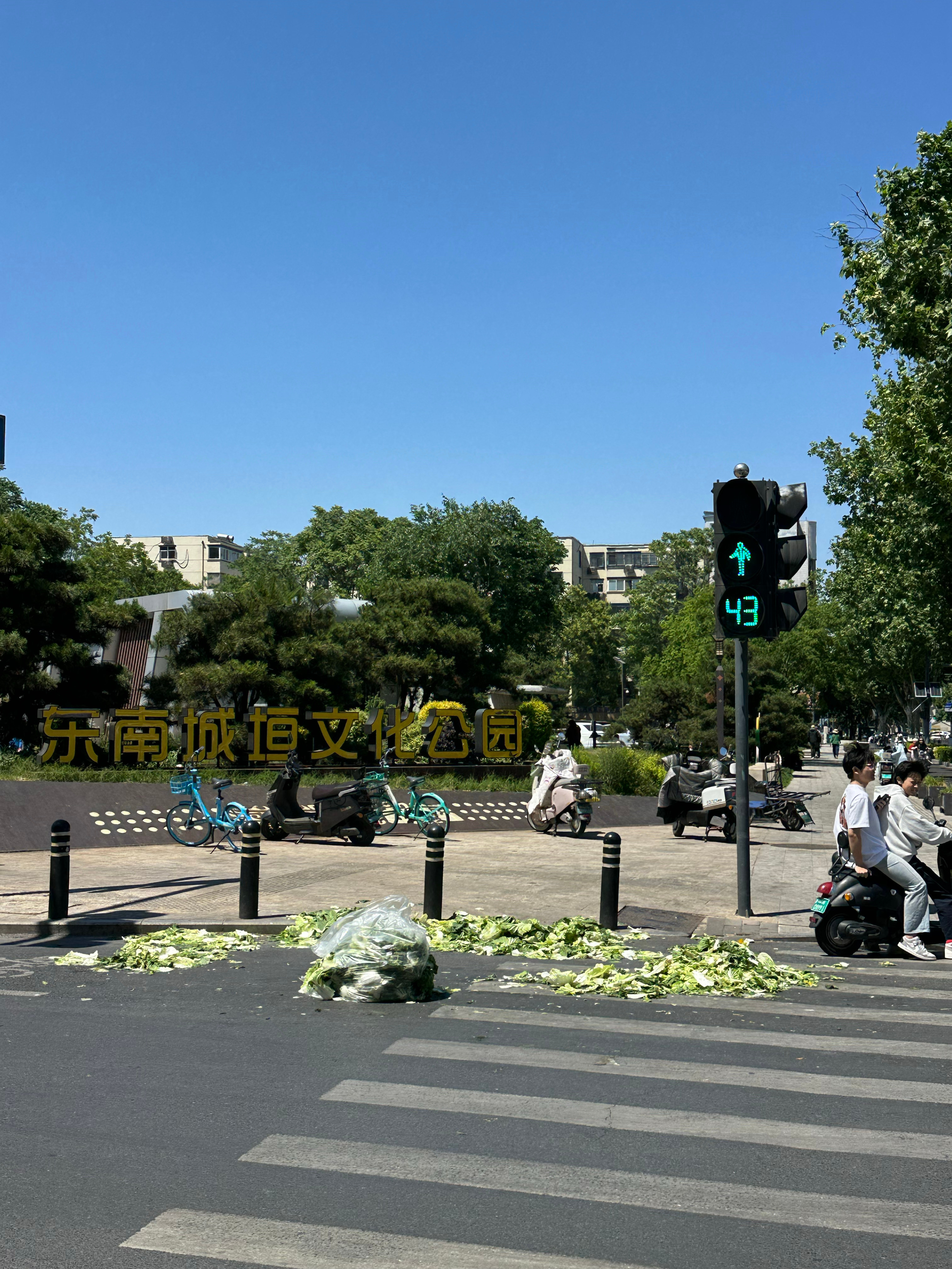 坐标城南路，刚刚卖完白菜的大爷开着车跑了，一地鸡毛，无语😓郑州·郑州商都国家