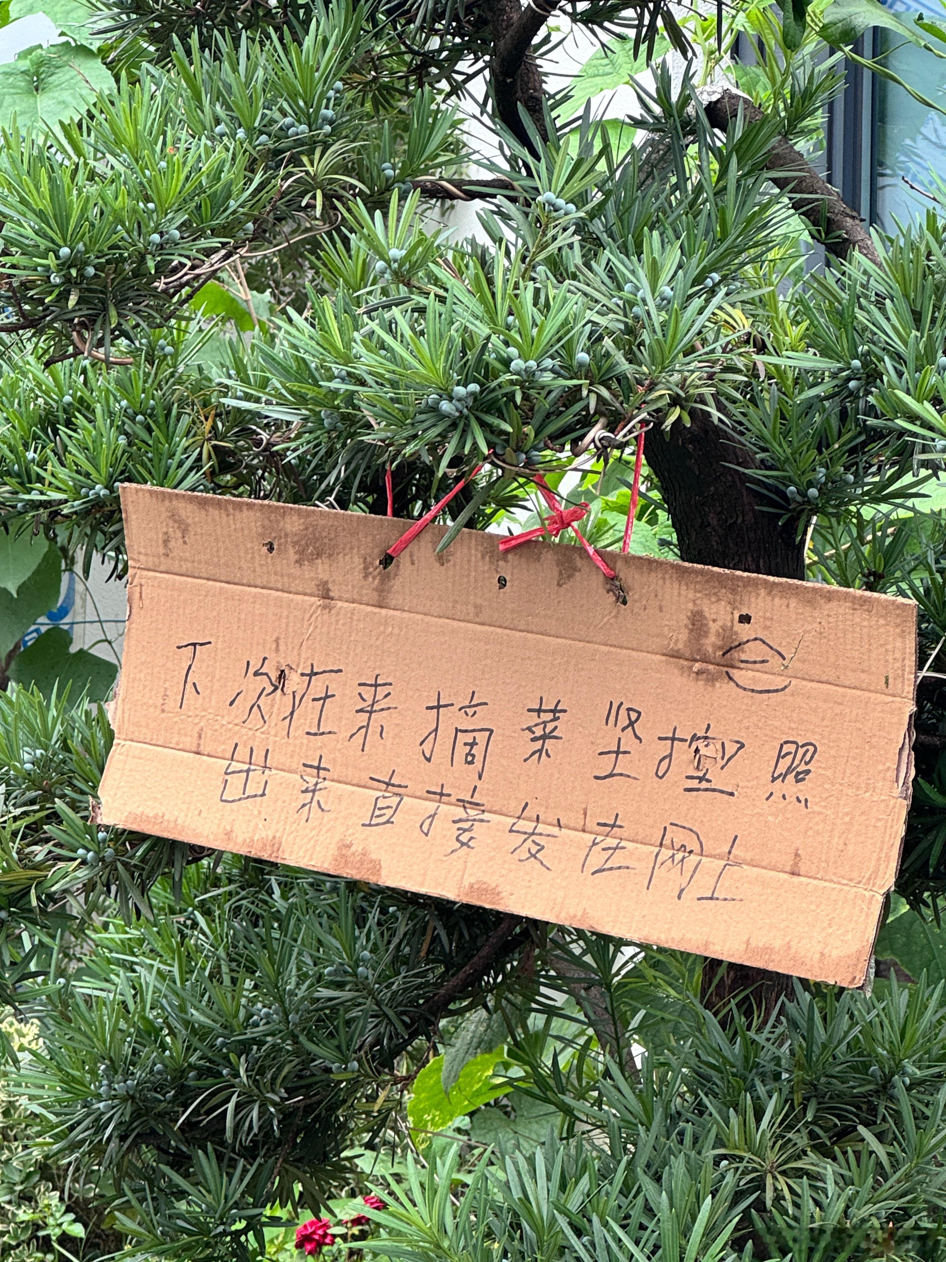 来，找亮点！