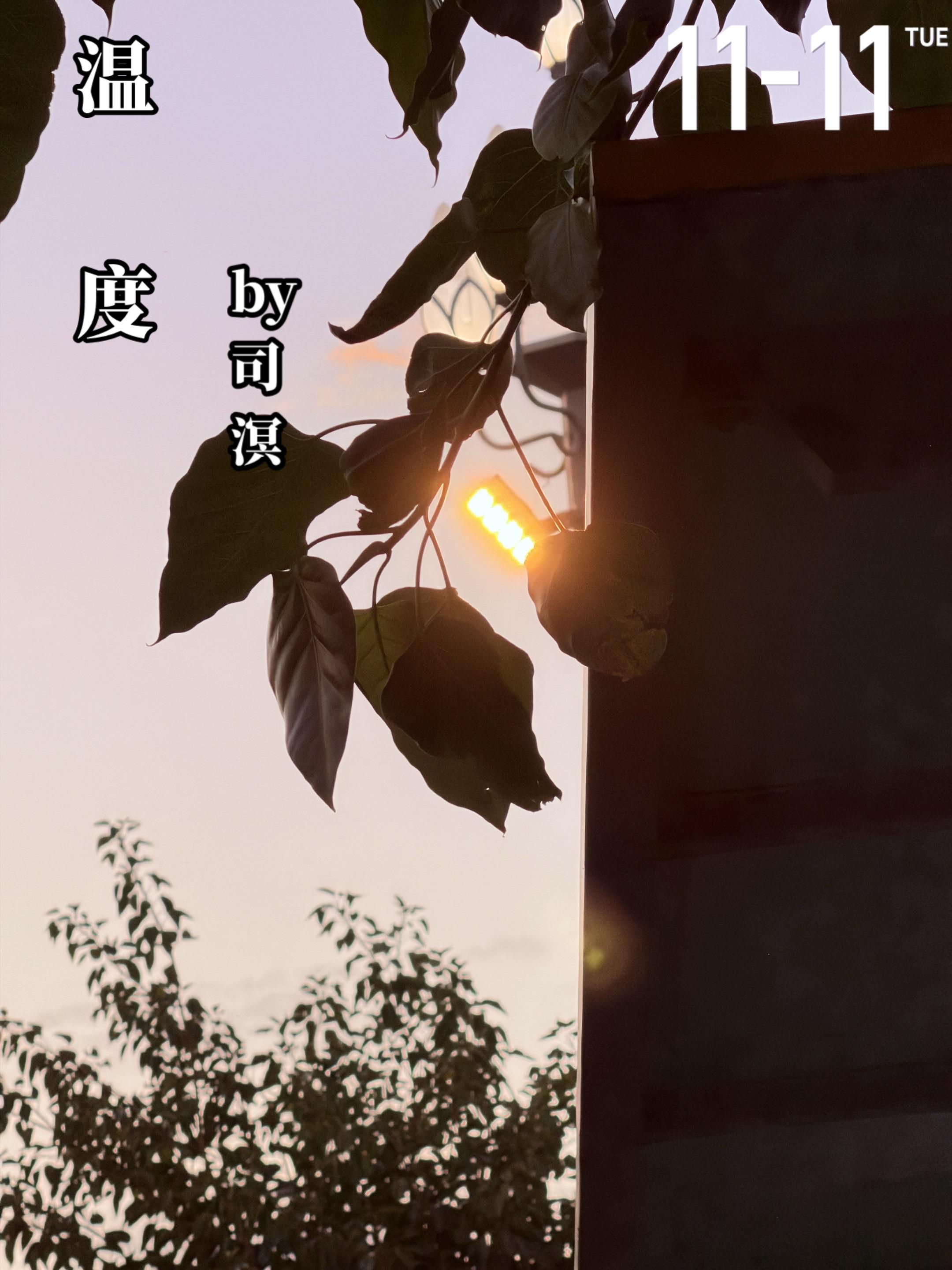 《温度》by司溟。温禧从小爹妈不爱，她发誓自己要摆脱这样的生活，也为此...