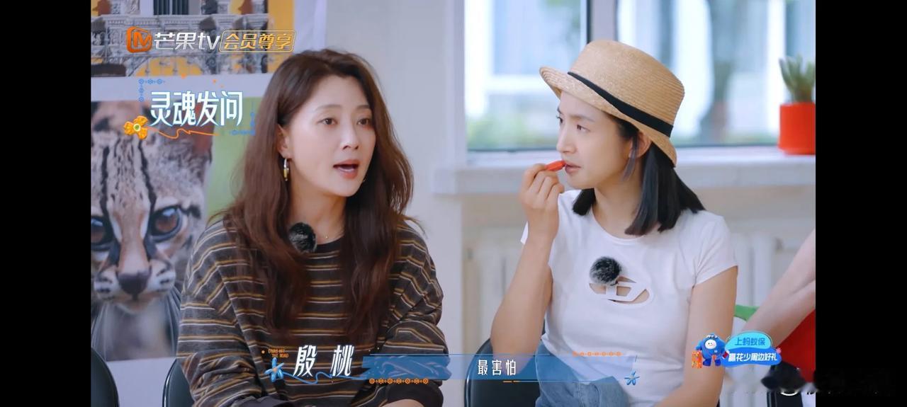 《花儿与少年》开播，殷桃和林依晨初见面有点冷。殷桃：“我喜欢你那部《对不起，我可