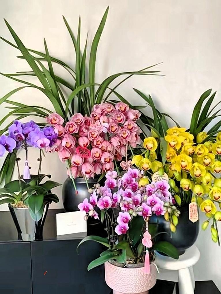 大过年的，朋友愁死了。朋友的儿子，今年34岁了，是上海一所985大学毕业的，现