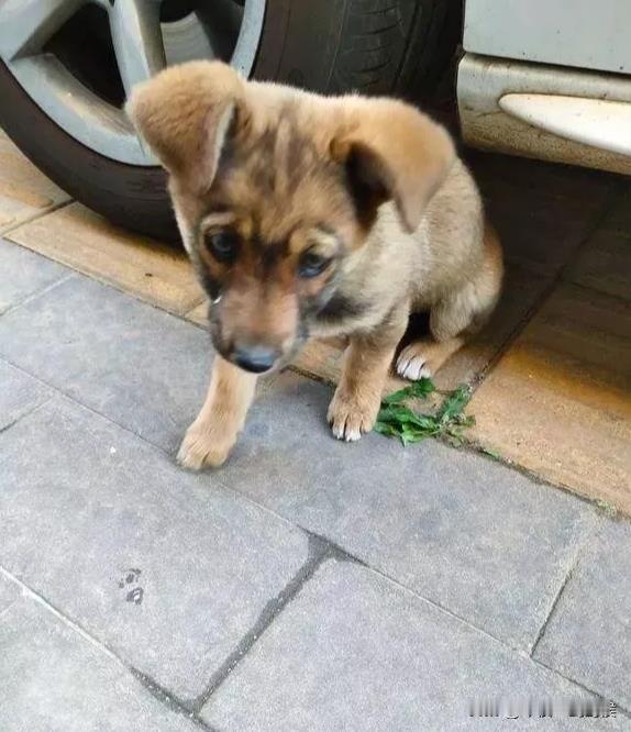 我一个旧日同事因为醉驾在看守所里待了2个月，瘦了40斤，从一个160斤微宣的胖子