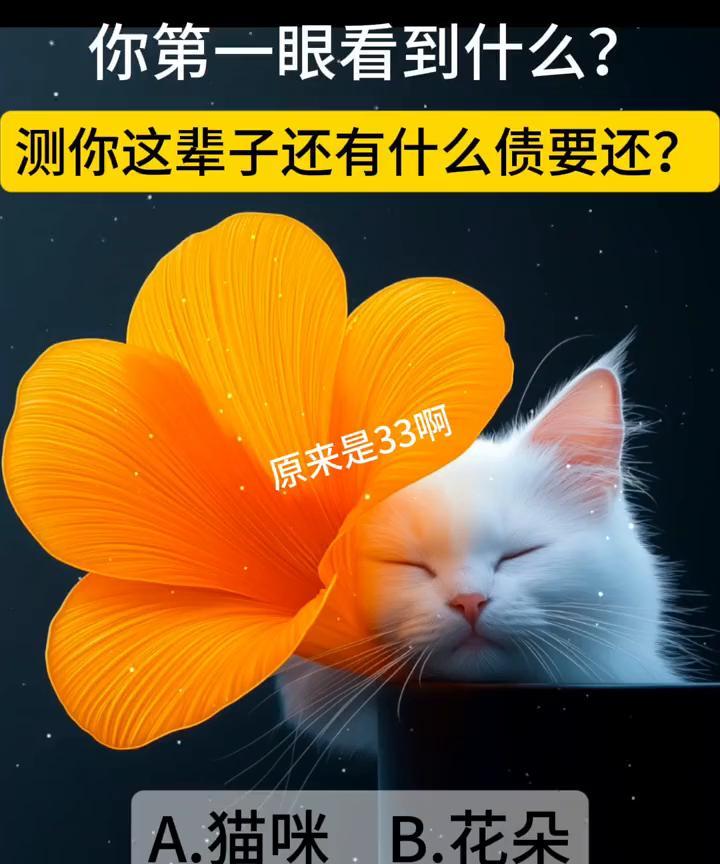 你第一眼看到什么？测你这辈子还有什么债要还？原来是33。A.猫咪；B.花朵。